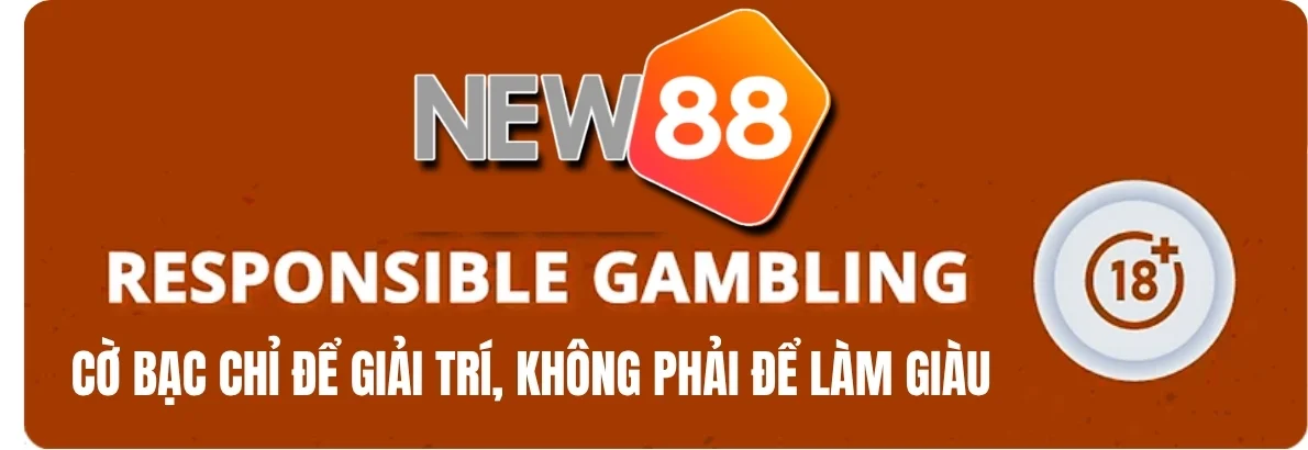 New88 48 Cam Kết Minh Bạch & Chính Sách Chơi Có Trách Nhiệm Tại NEW88